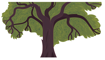 California Black Oak california forest illustration museum nature outdoors plants science tree vector